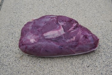 Venison Shoulder $18.50/kg